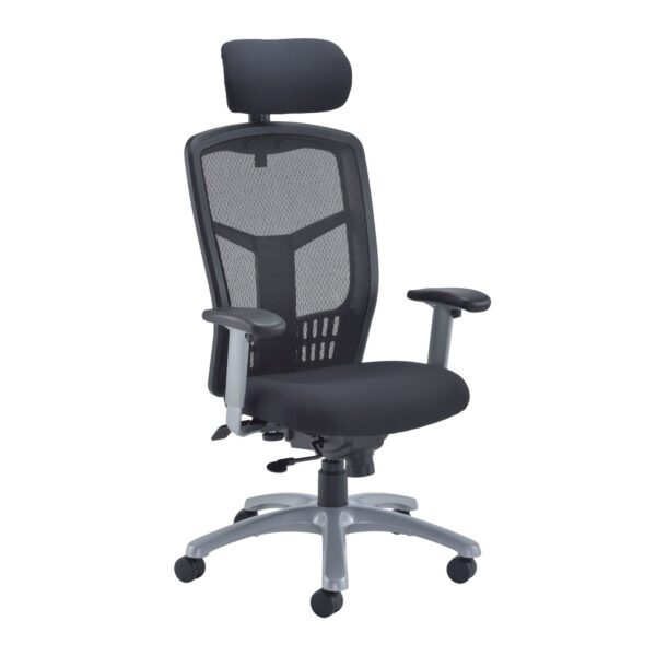 Fonz 24 Hour Posture Chair