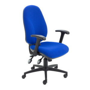 Maxi Ergo 24hr Posture Chair